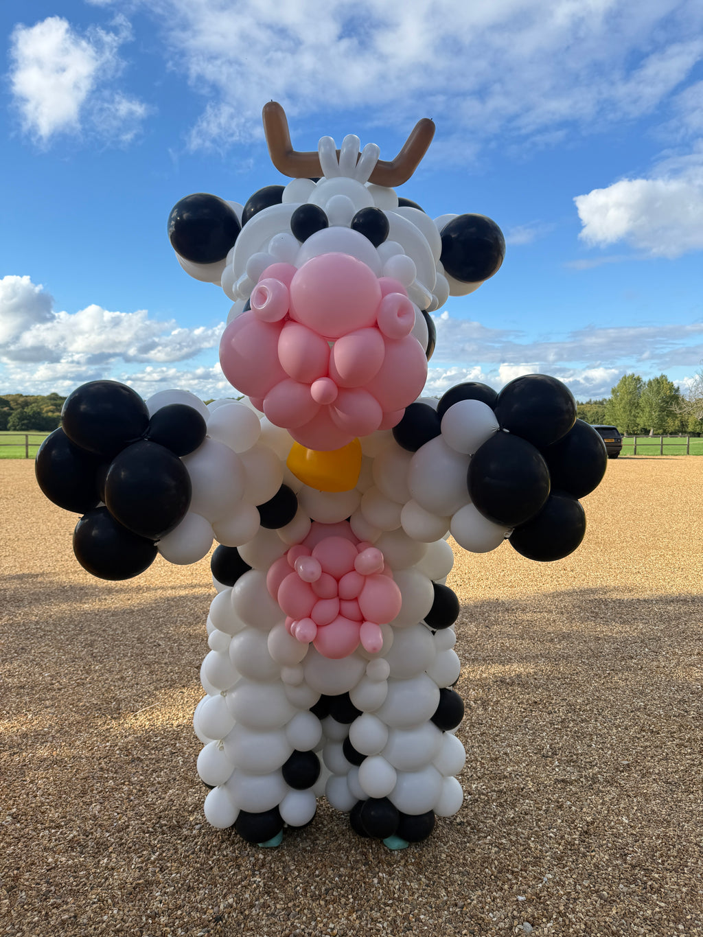 Balloon Costume | Cow