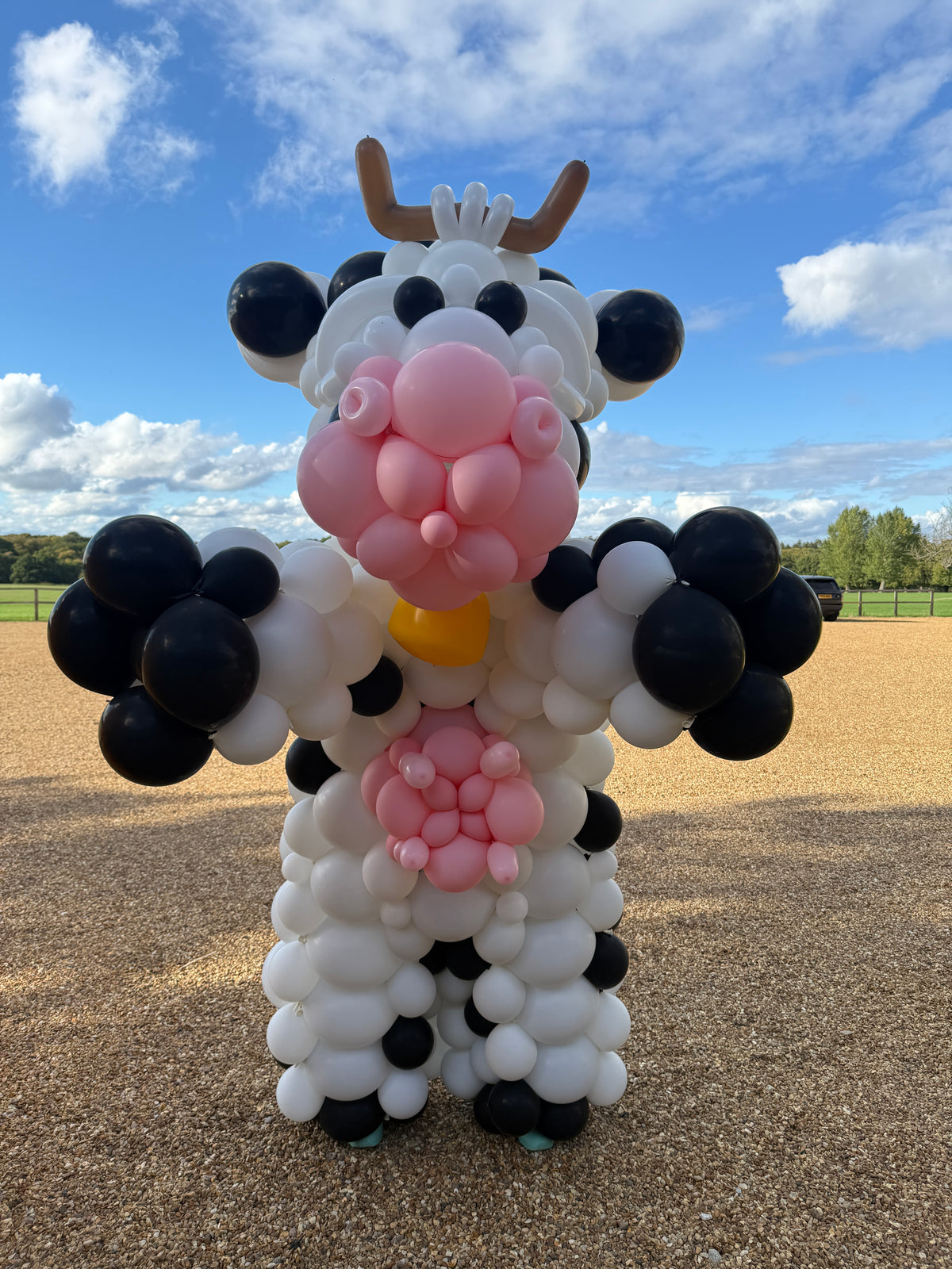 Balloon Costume | Cow