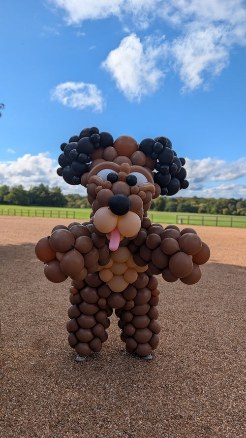 Balloon Costume | Dog